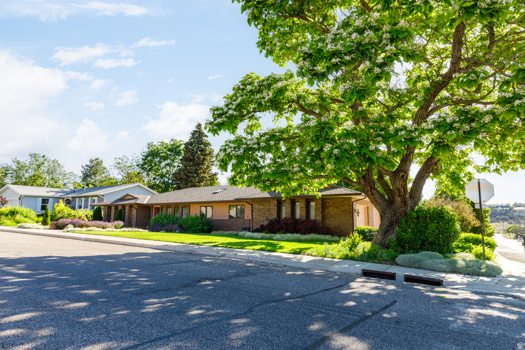 814 S 860 W Cedar City, UT 84720