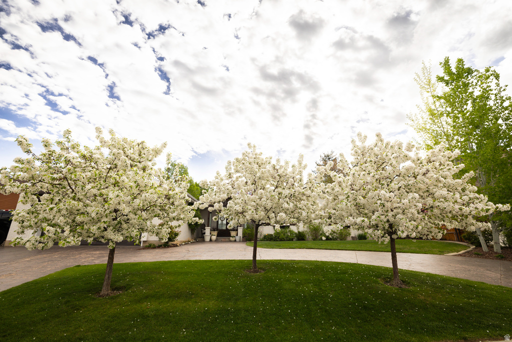 8867 S EAST HILLS DR Sandy, UT 84093