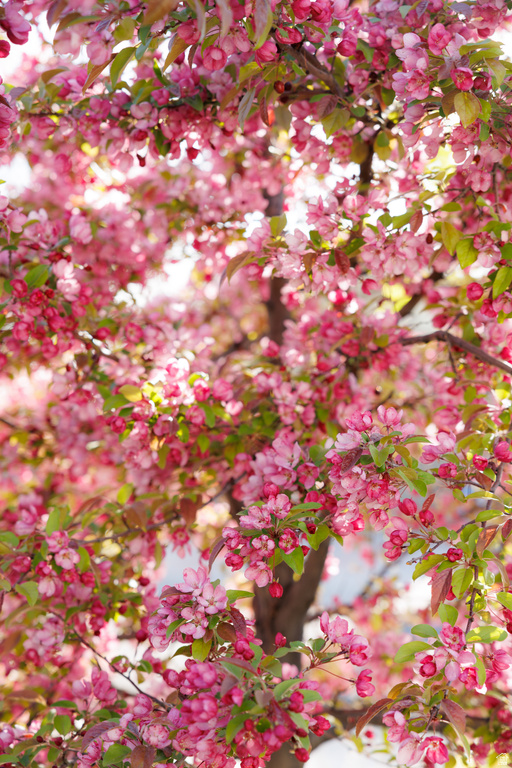 8867 S EAST HILLS DR Sandy, UT 84093