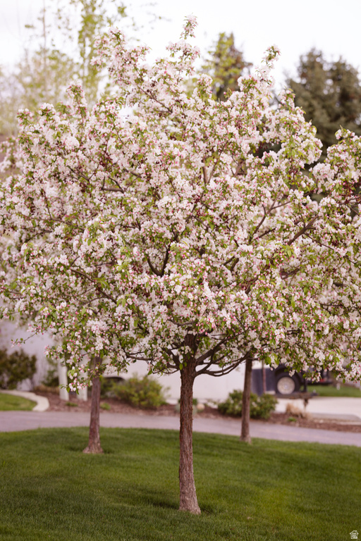 8867 S EAST HILLS DR Sandy, UT 84093