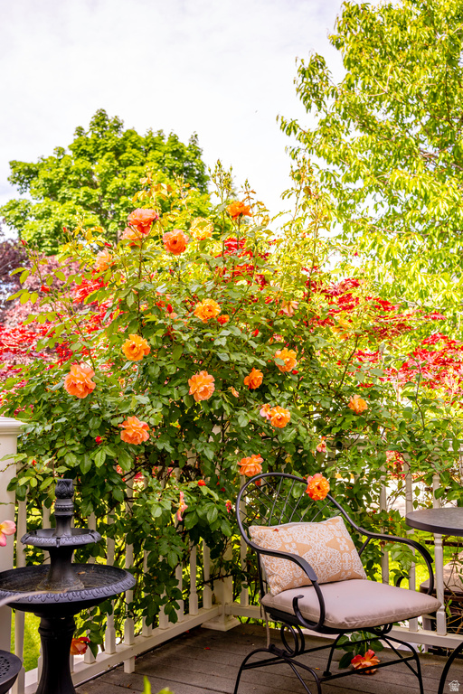 8867 S EAST HILLS DR Sandy, UT 84093