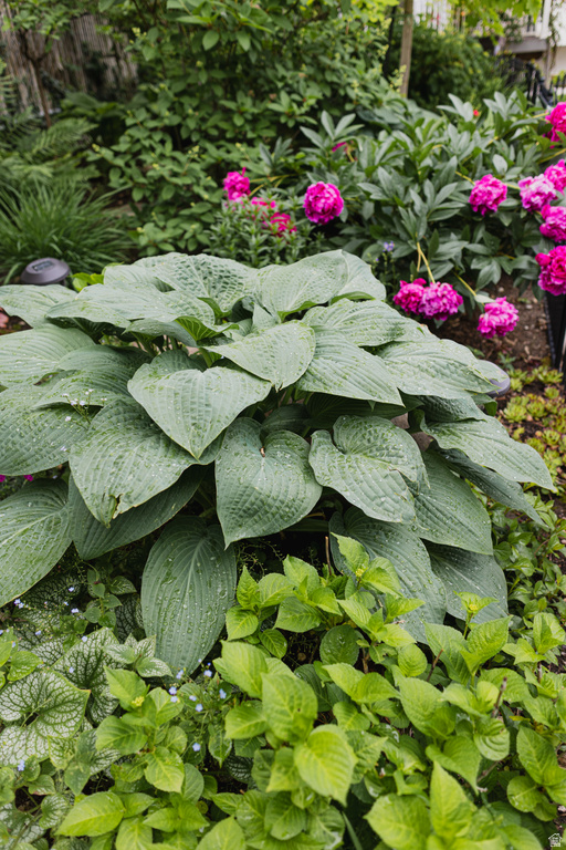 8867 S EAST HILLS DR Sandy, UT 84093