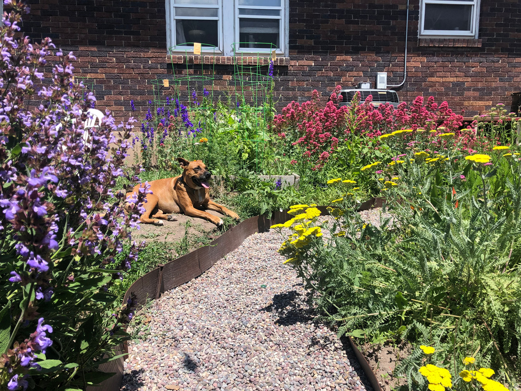 45 W BOULEVARD GDNS Salt Lake City, UT 84115