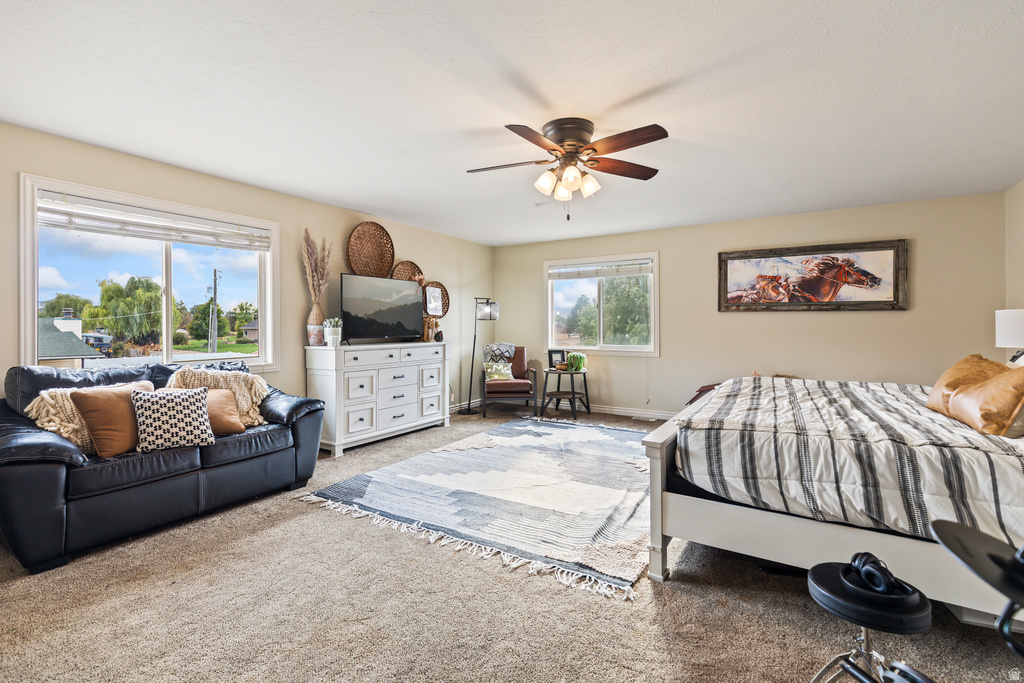 257 N 500 E Salina, UT 84654