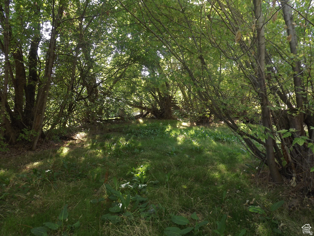 197 2ND ST Ogden, UT 84404