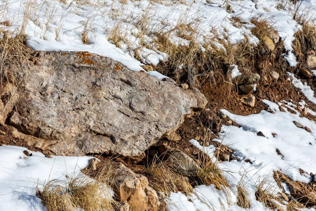 777  AERIE DR Park City, UT 84060