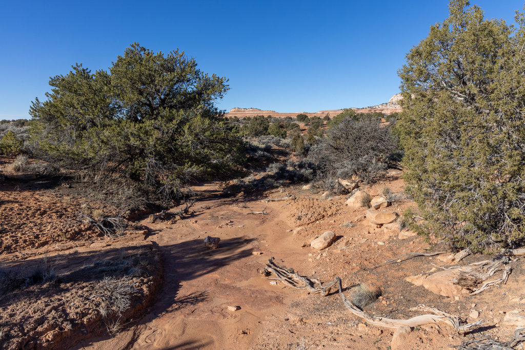 32 W AUSTIN CT Moab, UT 84532