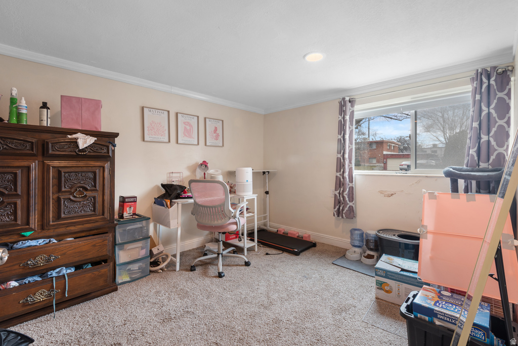 264 W 1625 N Provo, UT 84604