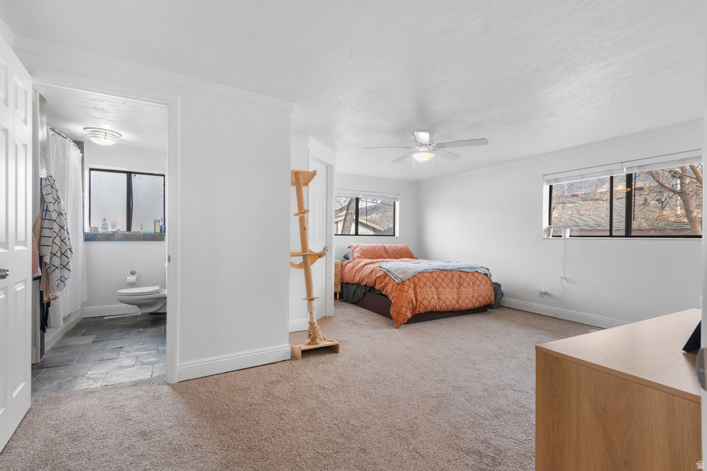 264 W 1625 N Provo, UT 84604