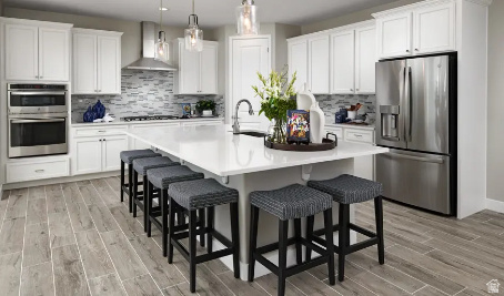 3317 S ZIGZAG HERON DR #801 Saratoga Springs, UT 84045