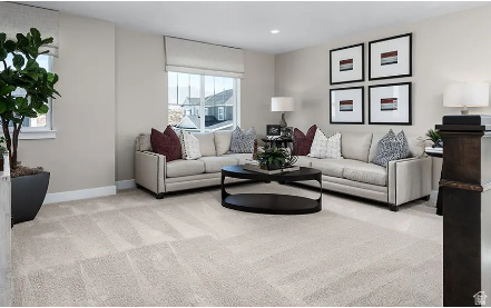 3317 S ZIGZAG HERON DR #801 Saratoga Springs, UT 84045