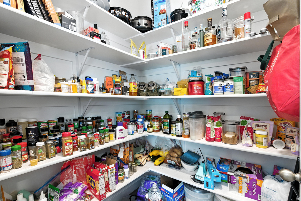 1017 S RED CLIFF DR Santaquin, UT 84655