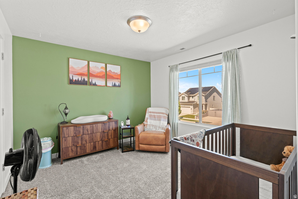 1017 S RED CLIFF DR Santaquin, UT 84655