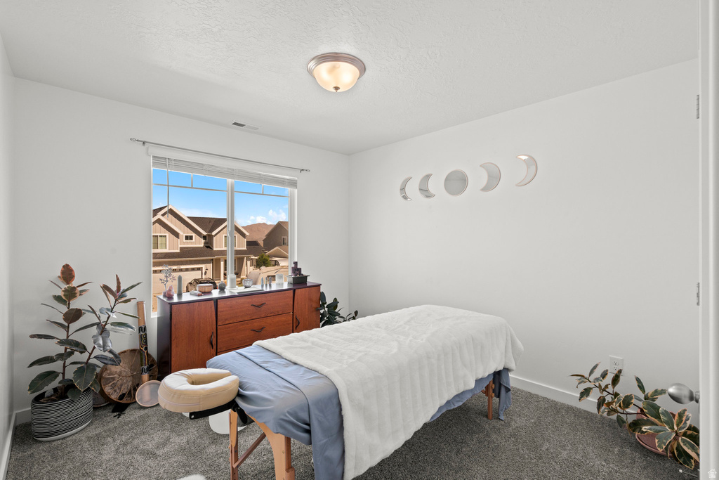 1017 S RED CLIFF DR Santaquin, UT 84655