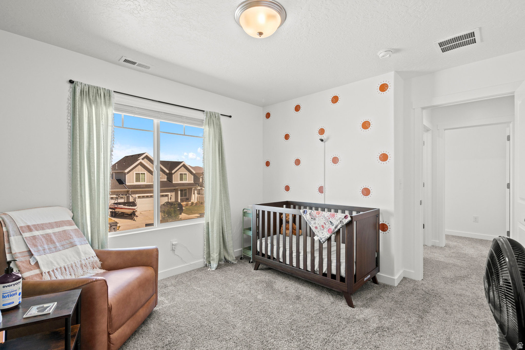 1017 S RED CLIFF DR Santaquin, UT 84655