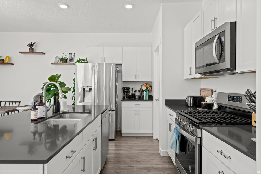 1017 S RED CLIFF DR Santaquin, UT 84655