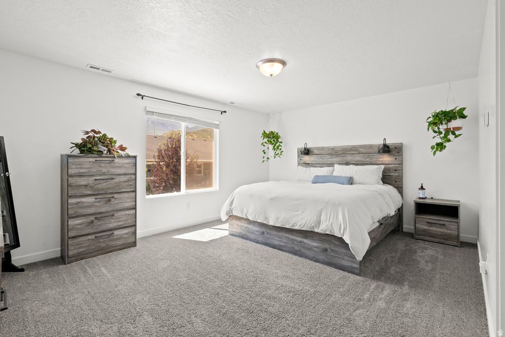 1017 S RED CLIFF DR Santaquin, UT 84655