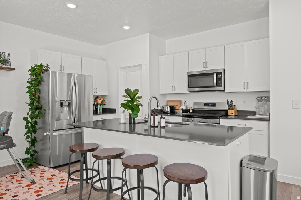 1017 S RED CLIFF DR Santaquin, UT 84655