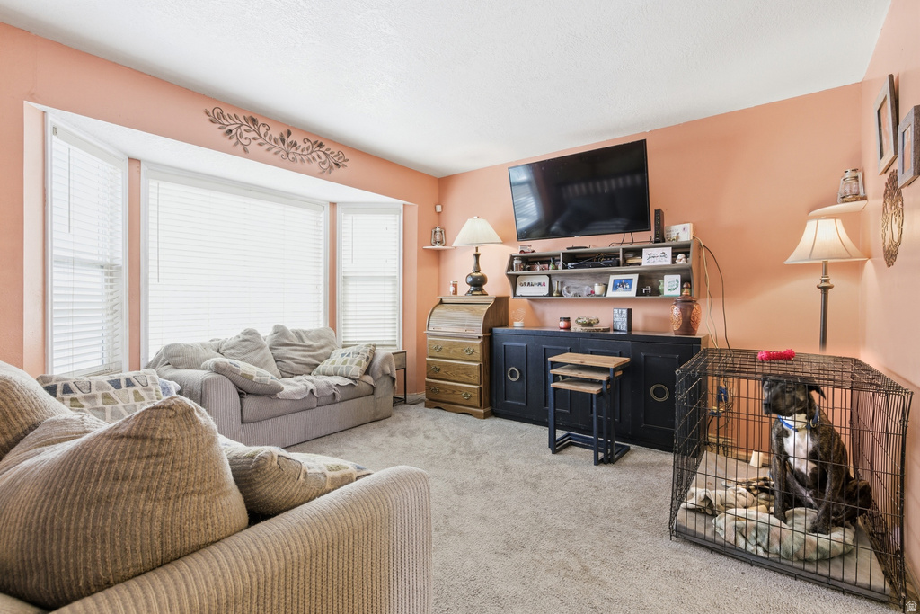 891 SUNFLOWER DR Ogden, UT 84404