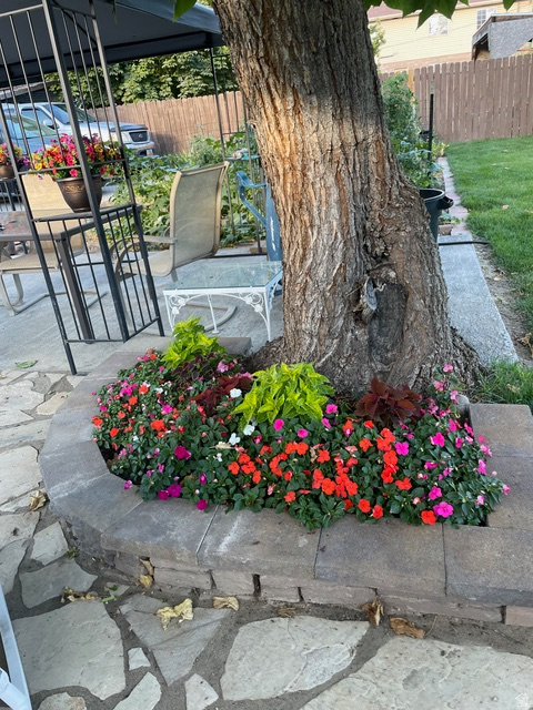 58 W 300 N Springville, UT 84663