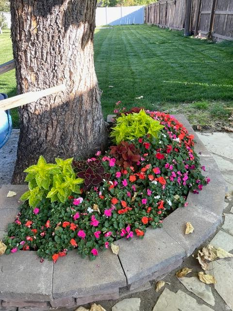 58 W 300 N Springville, UT 84663