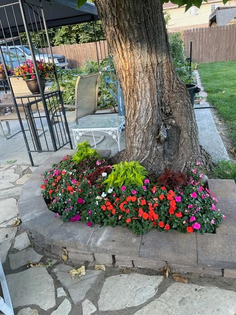 58 W 300 N Springville, UT 84663