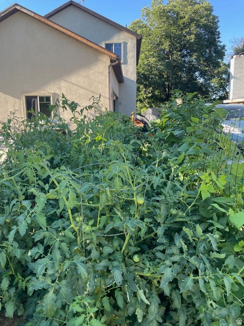 58 W 300 N Springville, UT 84663