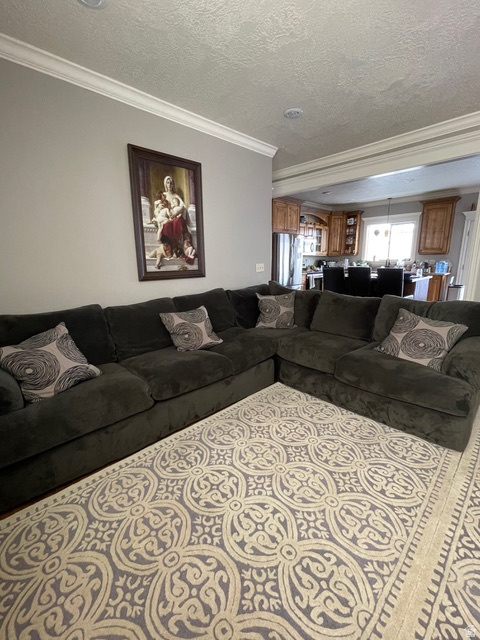 58 W 300 N Springville, UT 84663