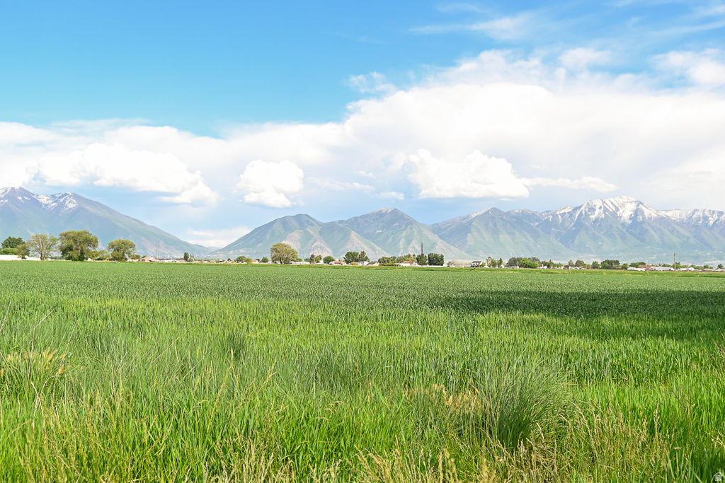 3445 W 5200 S Benjamin, UT 84660