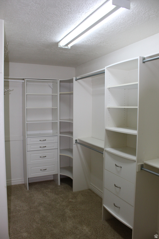 10612 N CANTERBURY DR Highland, UT 84003