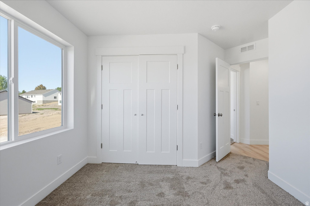 Carpeted room featuring a large window, white trim, and a white bi-fold closet door