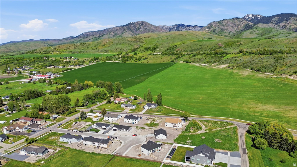 Expansive green landscape with distant mountains