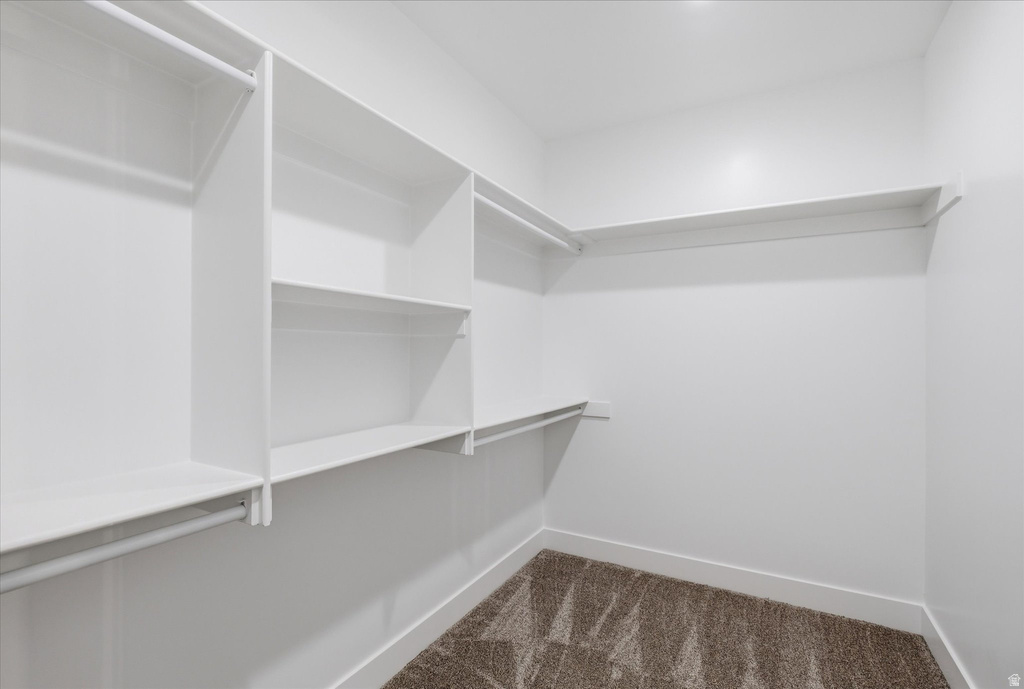 Walk-in closet featuring white built-in shelving, multiple hanging rods, and neutral-toned carpeting