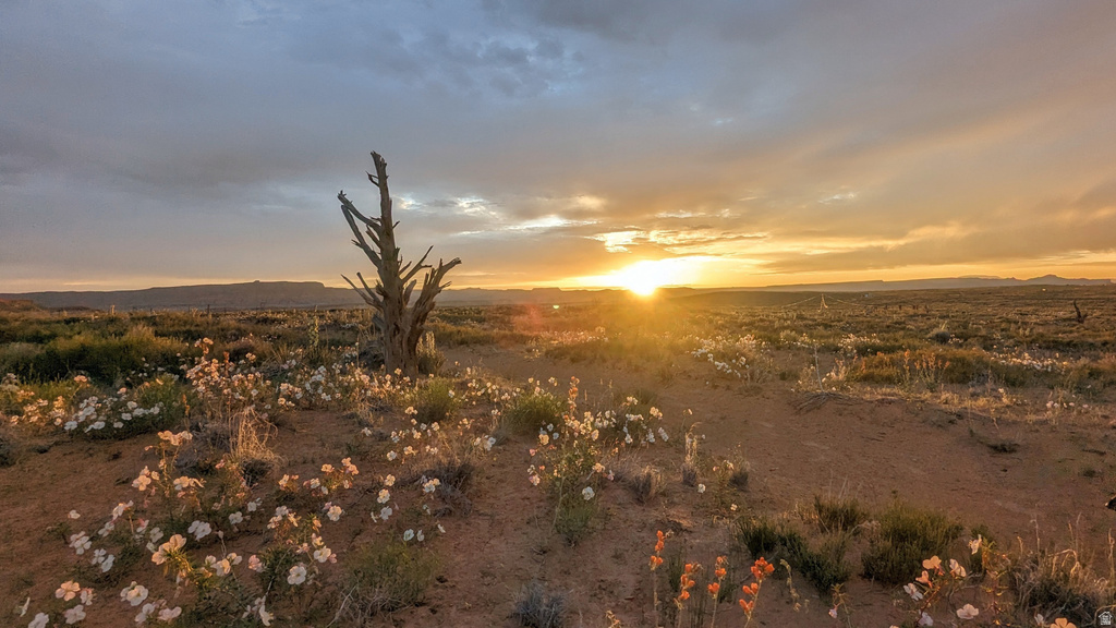 2416 N WAUNITA AVE Kanab, UT 84741