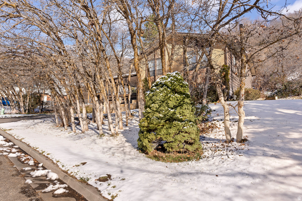 2466 S WOODLAND DR Uintah, UT 84403