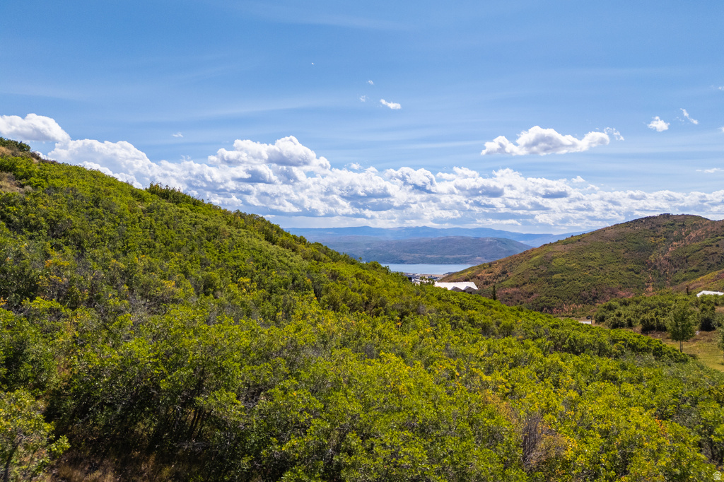 3755  RISING STAR LN Park City, UT 84060