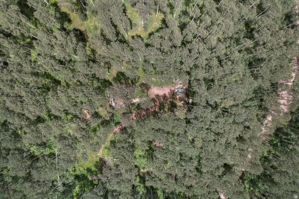 2086 W BRIGHT STAR RD Midway, UT 84049