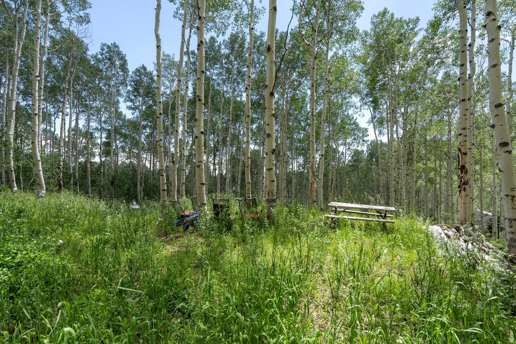 2086 W BRIGHT STAR RD Midway, UT 84049