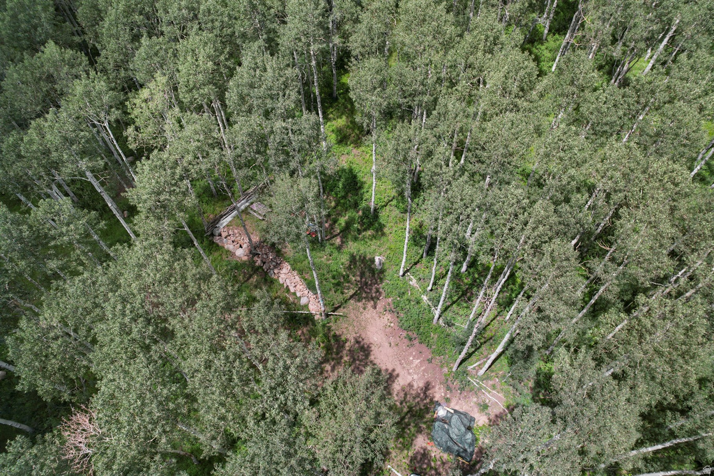 2086 W BRIGHT STAR RD Midway, UT 84049