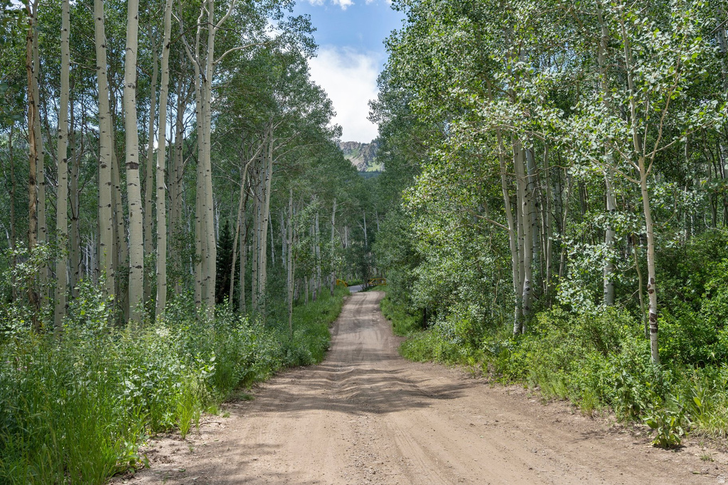 2086 W BRIGHT STAR RD Midway, UT 84049