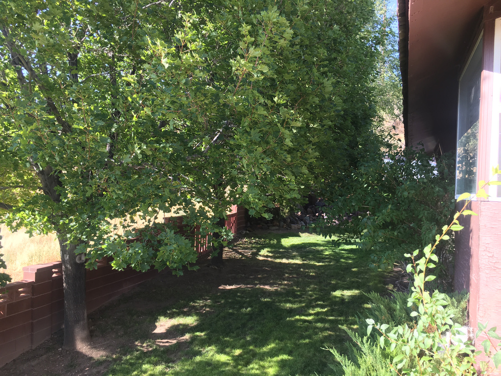 1943 E 425 N Beaver, UT 84713