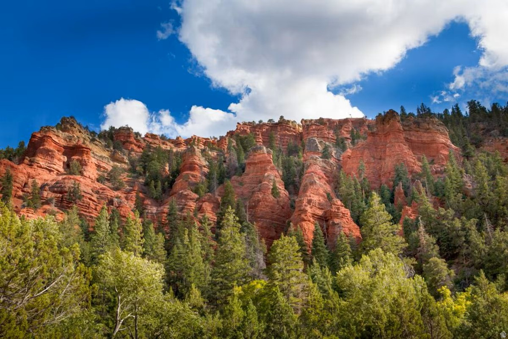 407 VASSELS DR ##4 Brian Head, UT 84719