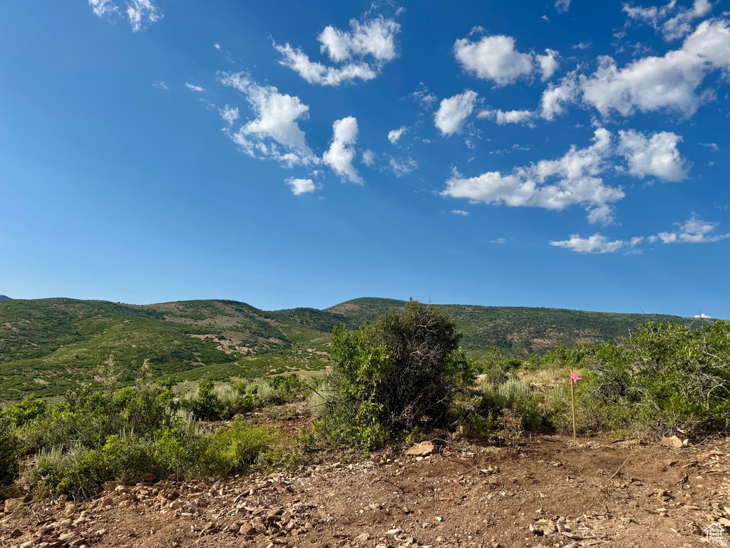 7321 E OAKVIEW DR Heber City, UT 84032