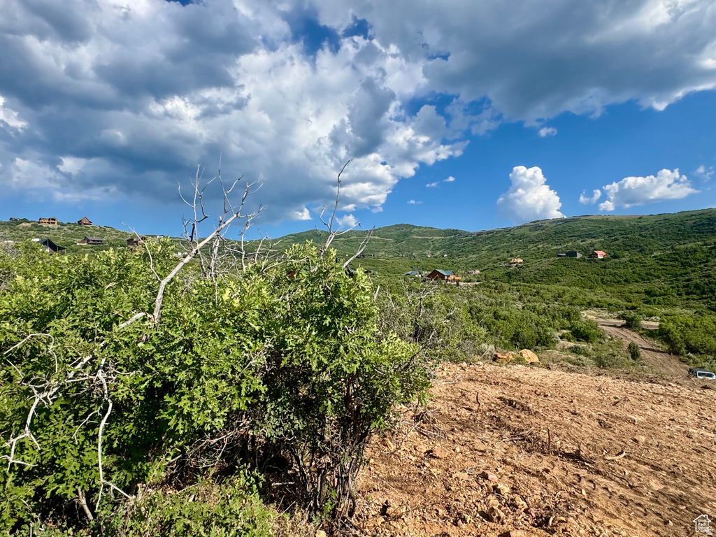 7321 E OAKVIEW DR Heber City, UT 84032