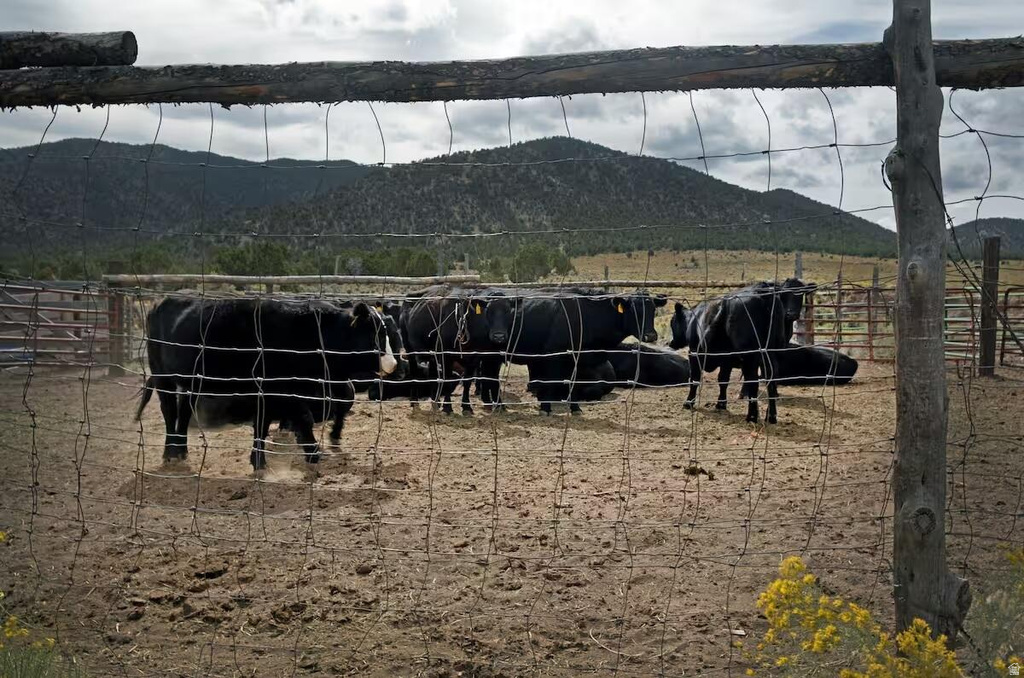 23886 N 6450 E Cedar City, UT 84720