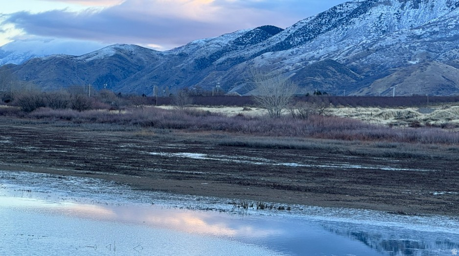 1252 W HIDDEN SPRING DR Santaquin, UT 84655