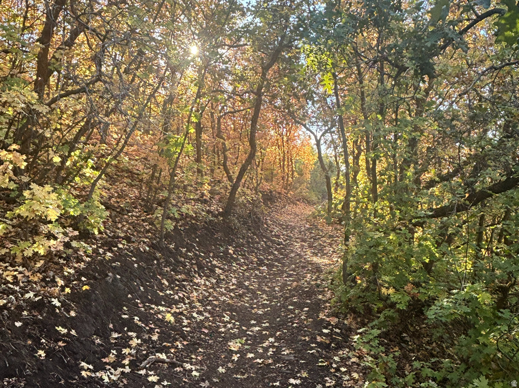 1370 E MEADOW VALLEY DR #24 Draper, UT 84020