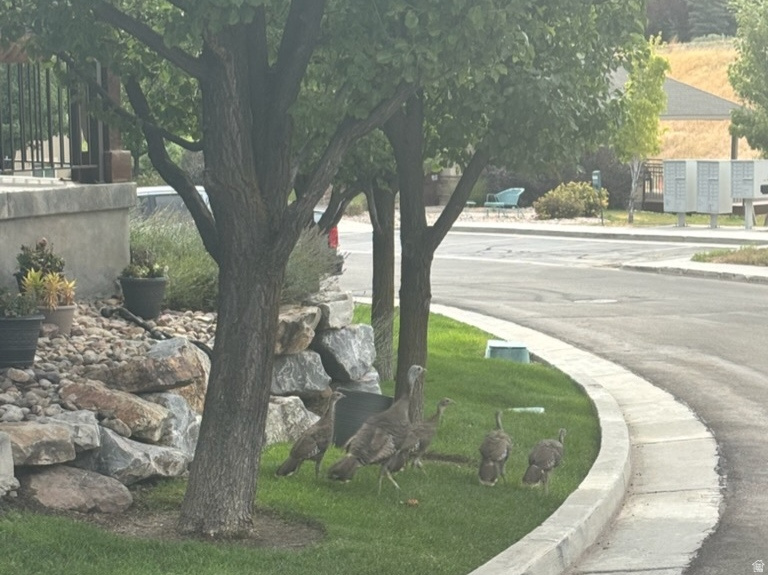 1370 E MEADOW VALLEY DR #24 Draper, UT 84020