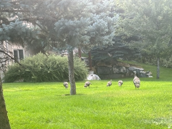 1370 E MEADOW VALLEY DR #24 Draper, UT 84020