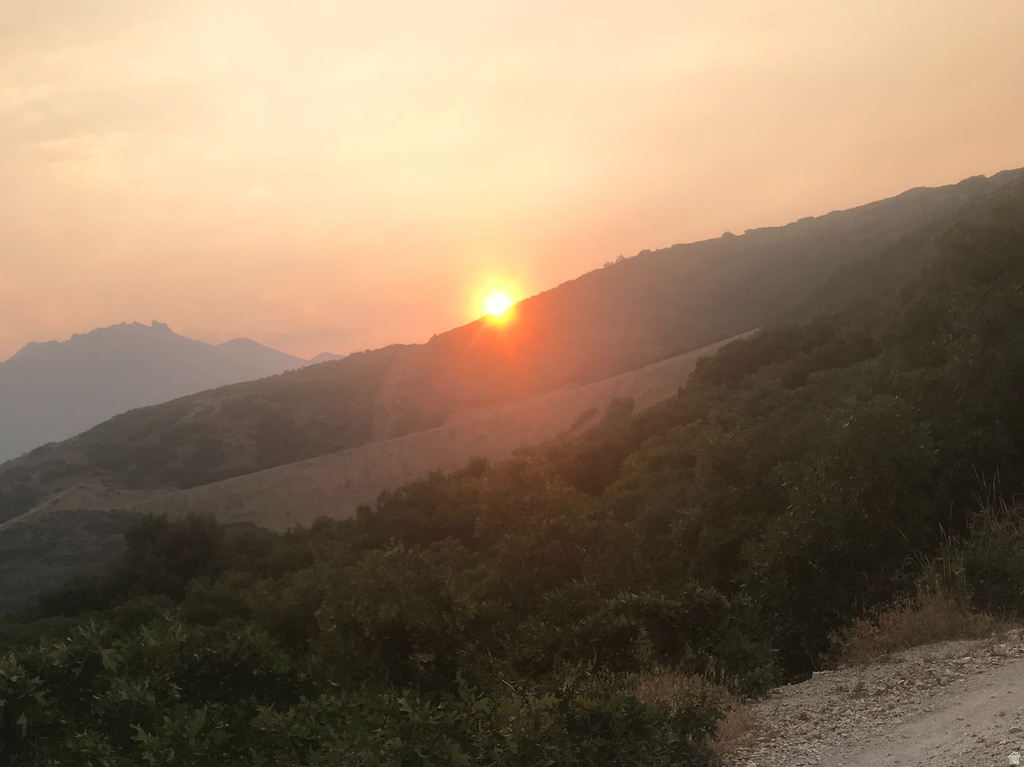 1370 E MEADOW VALLEY DR #24 Draper, UT 84020